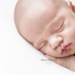 fotografo de bebes recien nacidos buenos aires
